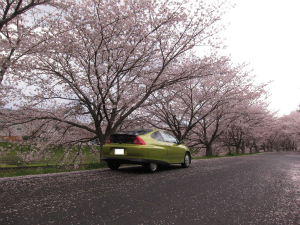 CTCg