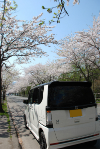 N-BOX