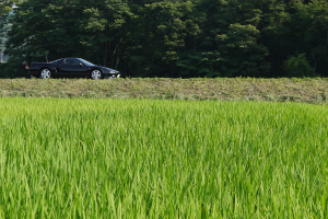 NSX