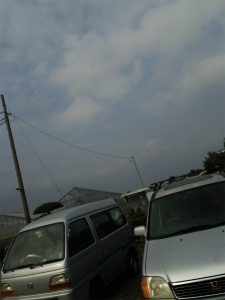 ANeBo