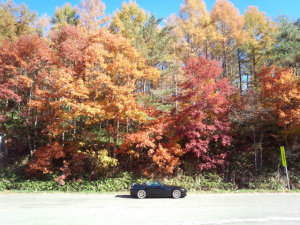 S2000