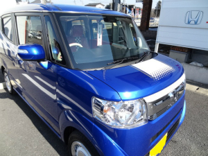 N-BOX XbV