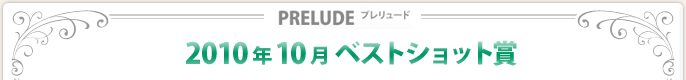 2010N10xXgVbg