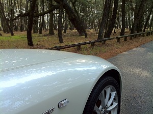 S2000