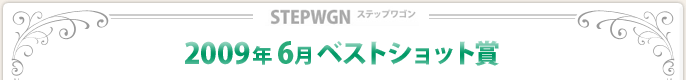 2009N6xXgVbg