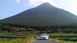 LS